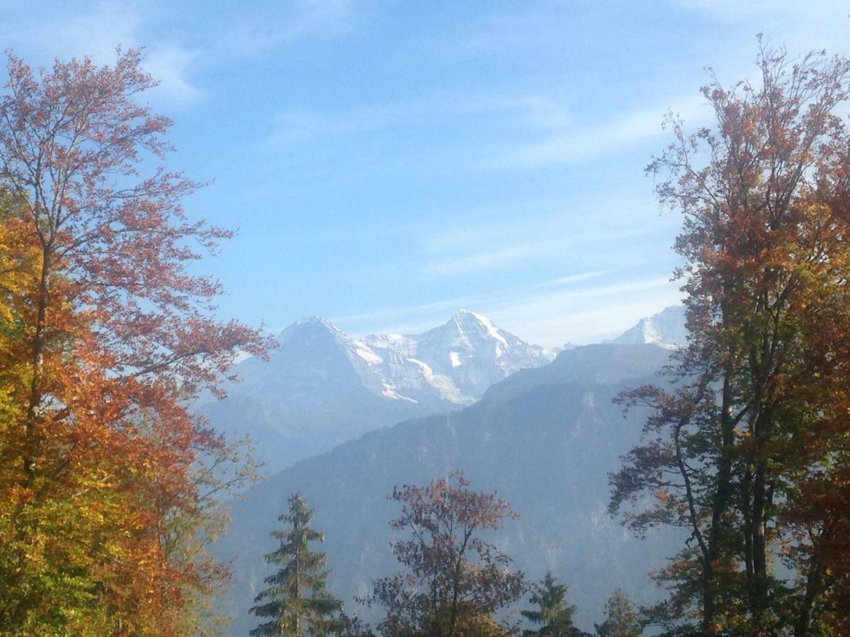 App. Seeblick Top Of Interlaken Beatenberg Luaran gambar