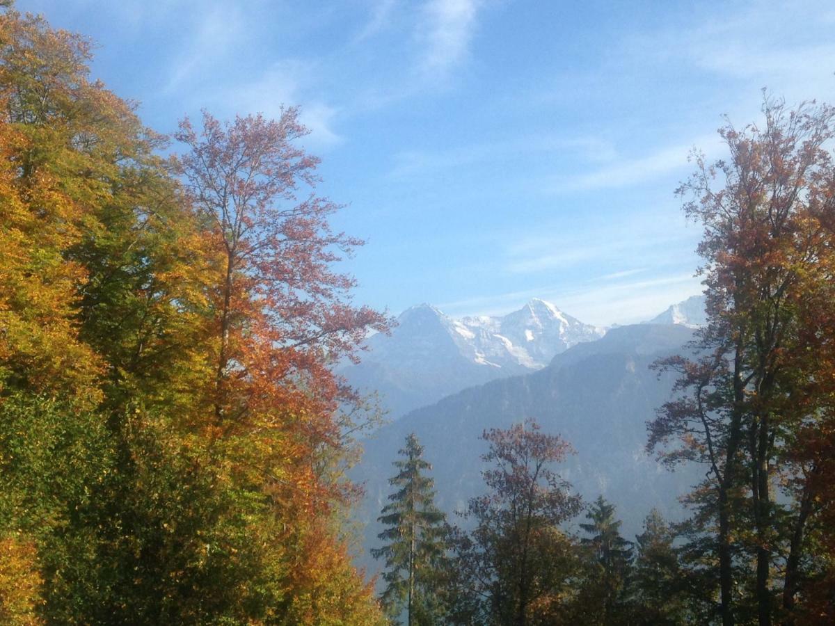 App. Seeblick Top Of Interlaken Beatenberg Luaran gambar