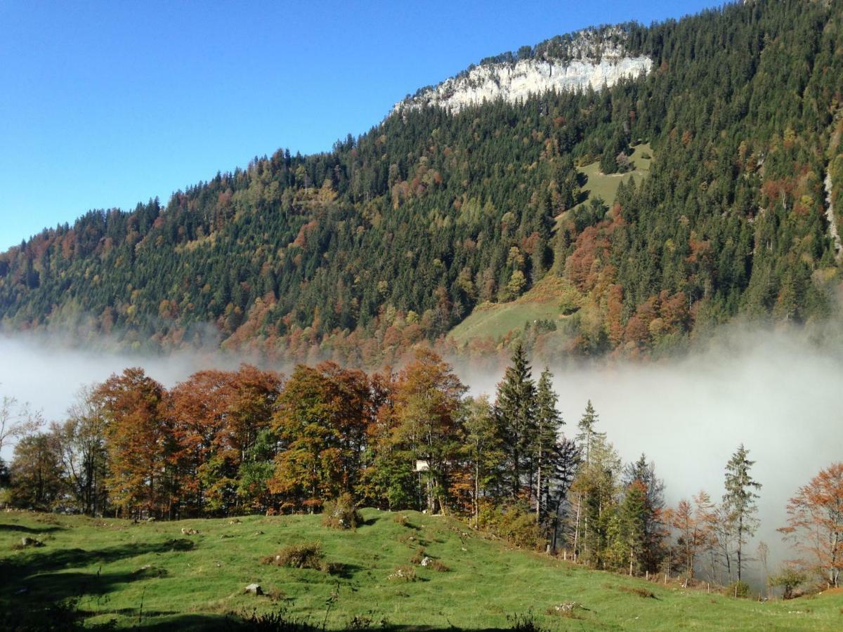 App. Seeblick Top Of Interlaken Beatenberg Luaran gambar