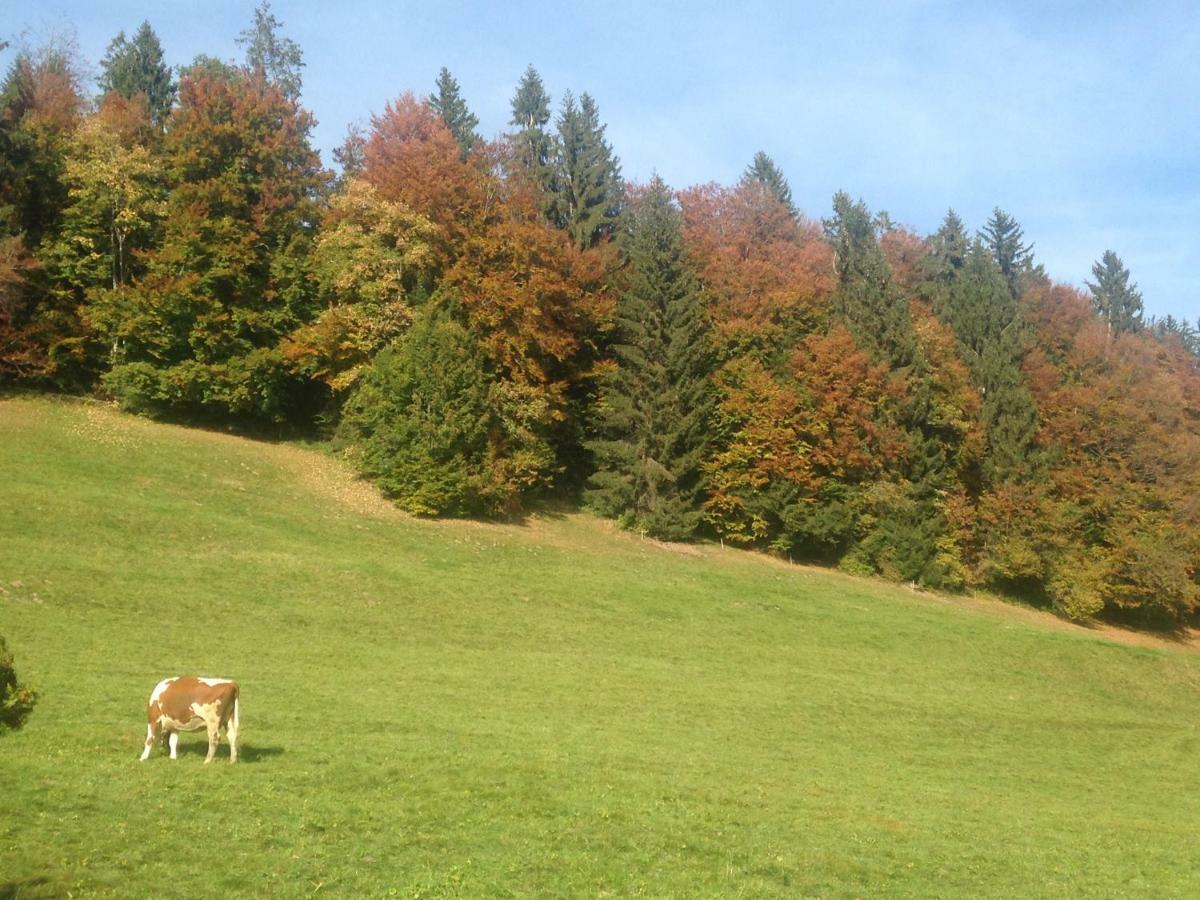 App. Seeblick Top Of Interlaken Beatenberg Luaran gambar