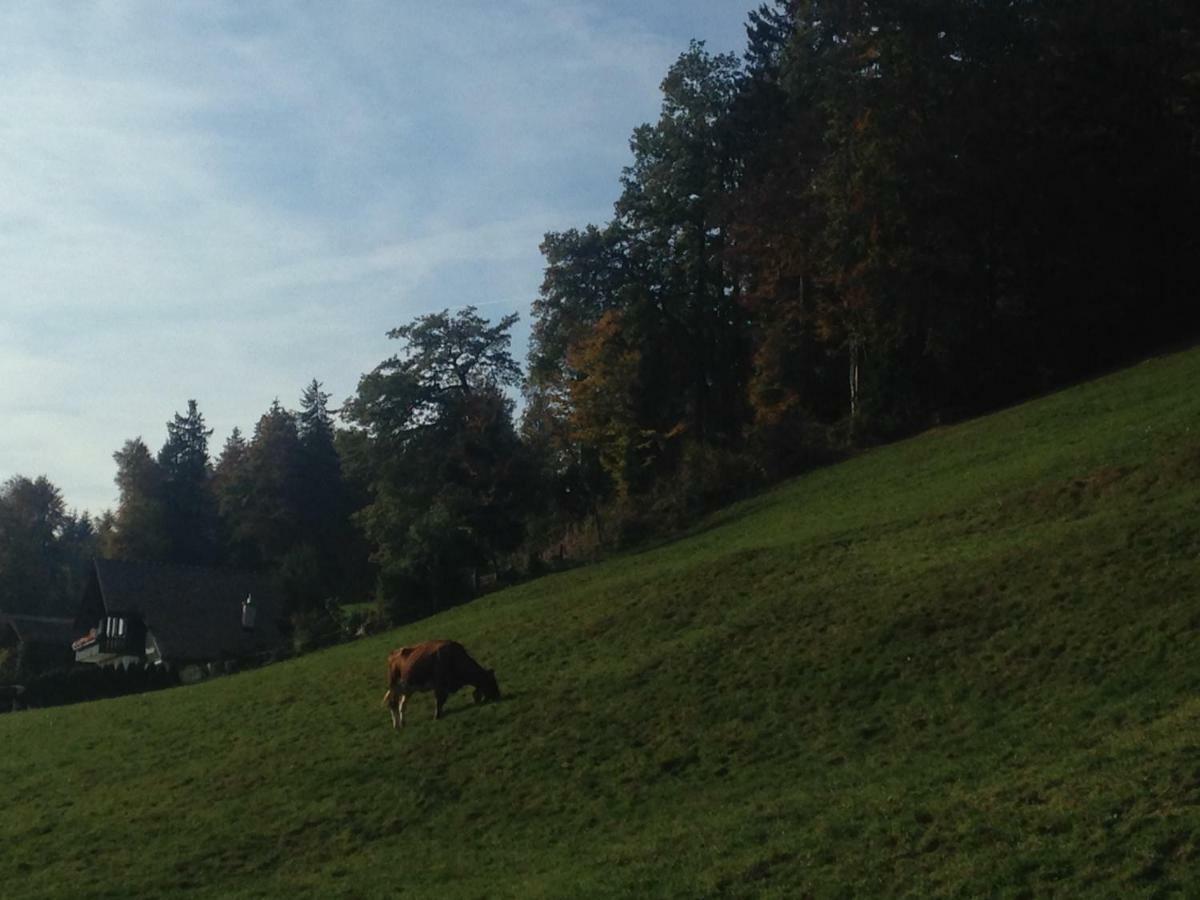 App. Seeblick Top Of Interlaken Beatenberg Luaran gambar